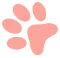 Pata